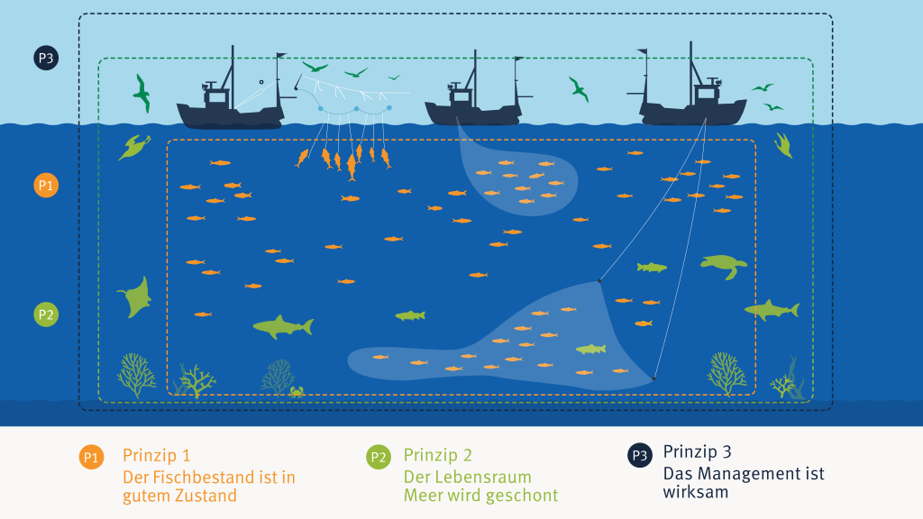 Infografik - Die drei Prinzipien des MSC-Umweltstandard