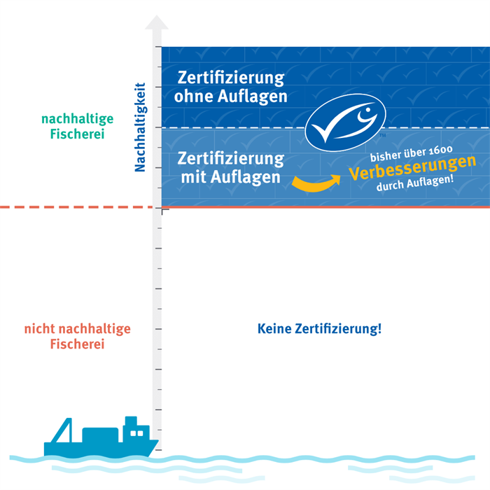 Auflagenmechanismus Infografik Auflagenmechanismus bei der MSC-Berwertung