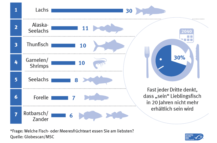 globescan msc fisch umfrage lieblingsfisch in deutschland