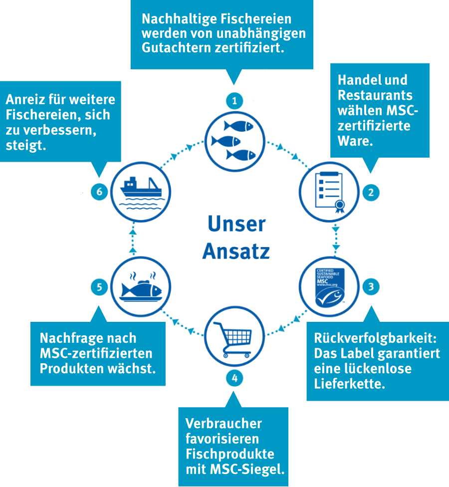 Was macht der MSC (Marine Stewardship Council)