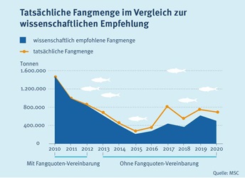 Überfischungskurve Hering Nordostatlantik