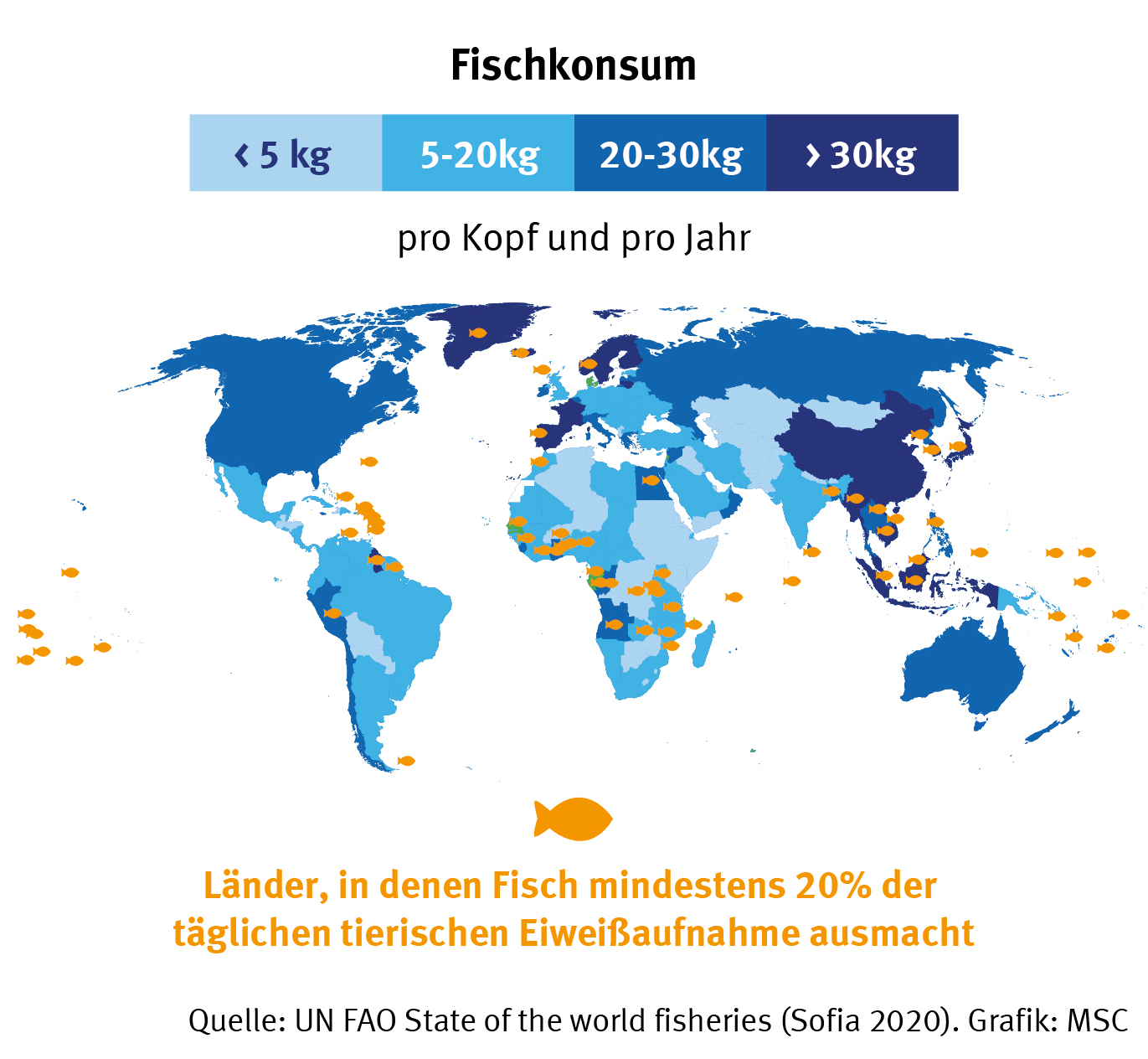 Nachhaltige Fischerei macht Schule | Marine Stewardship Council