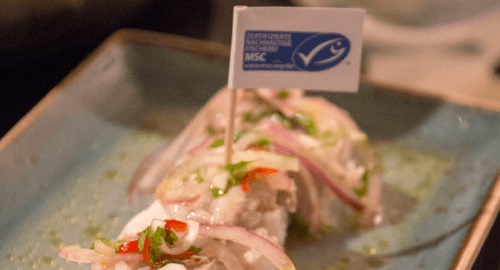 Mediterraner Seelachs exotisch angehaucht