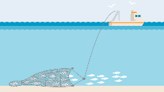 Illustration wie ein Trawler mit Grundschleppnetz fischt