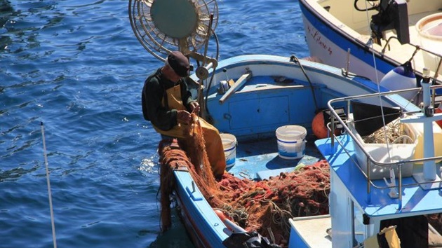 Überfischung im Mittelmeer
