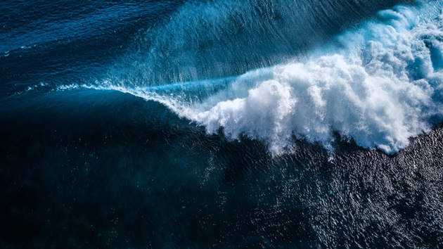 Internationaler Tag  des Meeres 2023