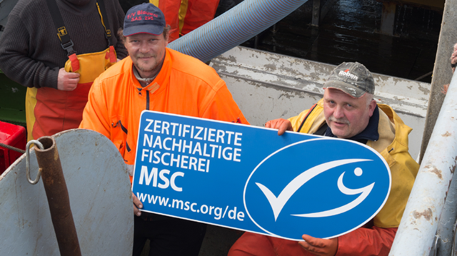 Was bedeutet das MSC-Siegel auf einem Produkt?