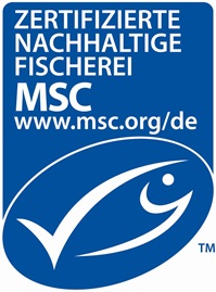 MSC Logo - was macht der MSC