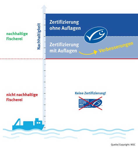 16.2_MSC_Fischerei_Zertifizierungsauflagen 16.2_MSC_Fischerei_Zertifizierungsauflagen