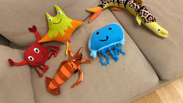 Kuscheln für den Meeresschutz