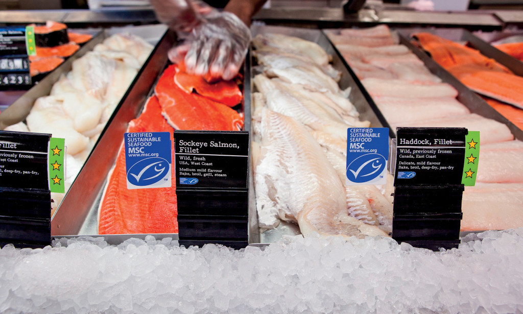 Fischtheke-Lachs-Schellfisch-MSC-Label