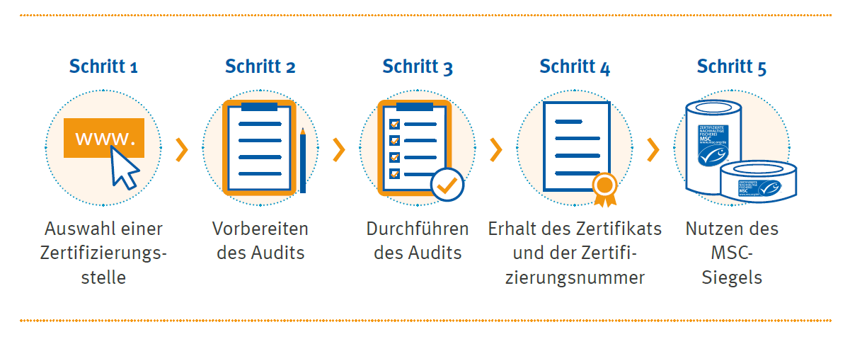 Hauptschritte des MSC-Zertifizierungsverfahren fuer Unternehmen