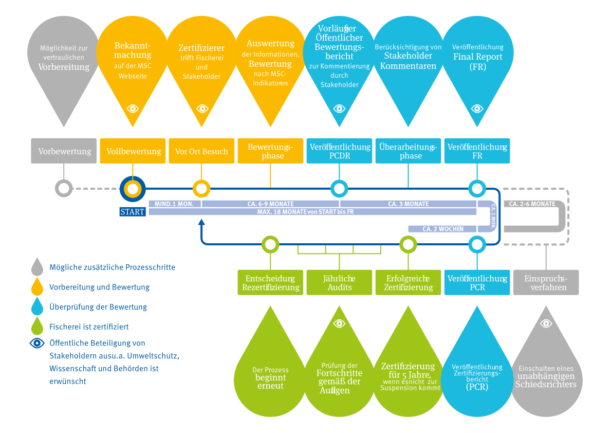 vereinfachte Übersicht des MSC-Fischerei-Bewertungsprozesses