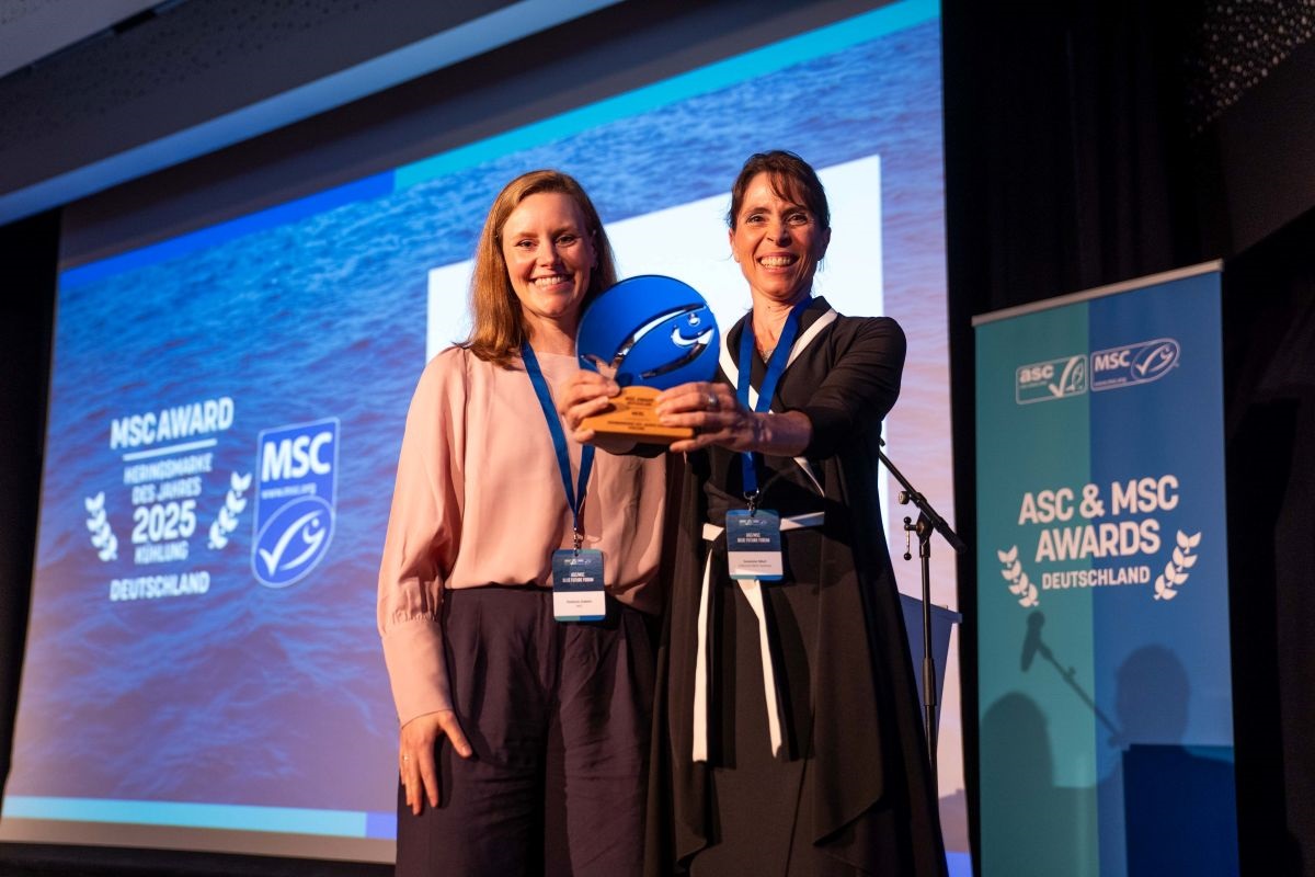 MSC Heringsmarke des Jahres 2025 - Kühlung