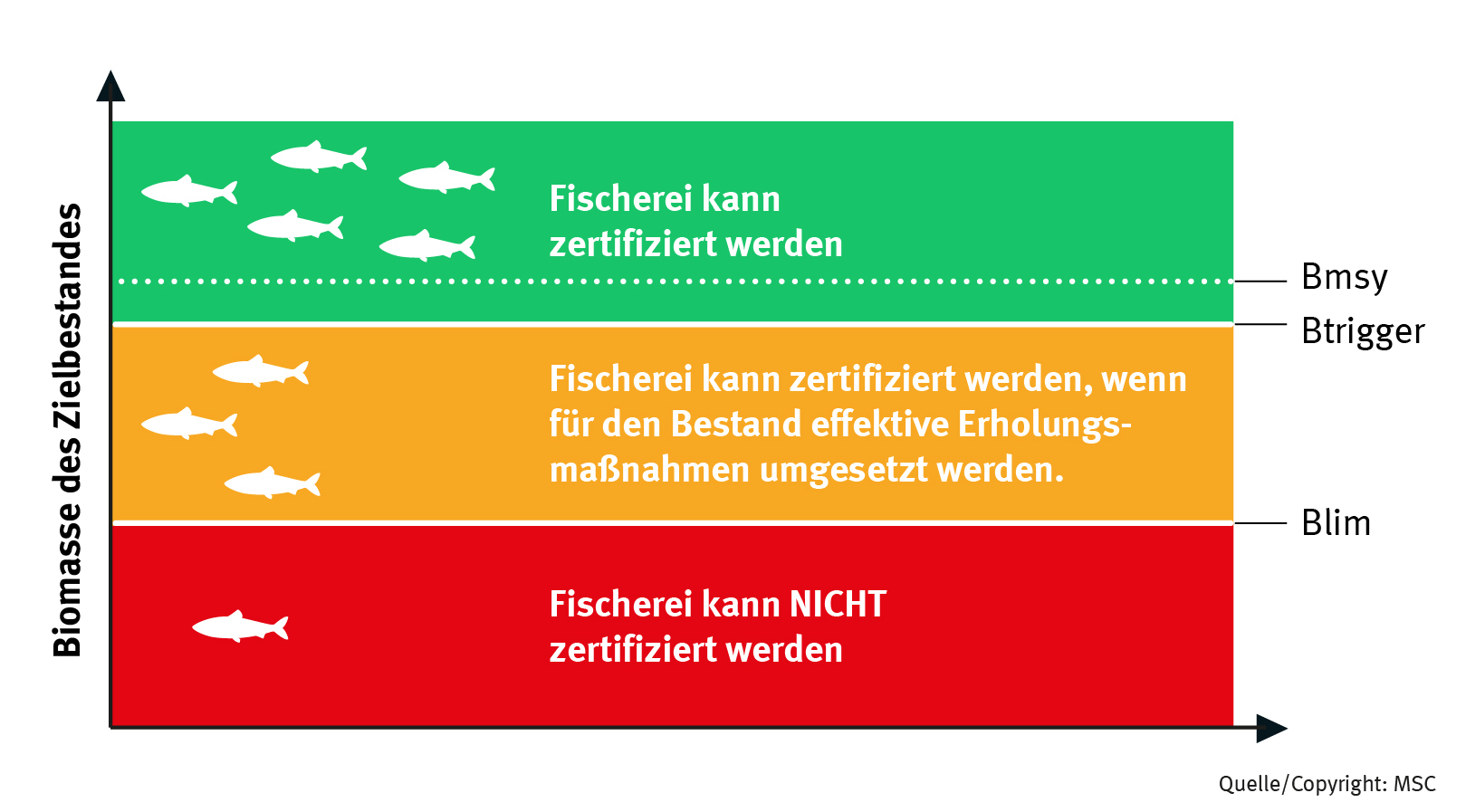 Referenzwerte für die Biomasse von Fischbeständen und die MSC-Zertifizierung