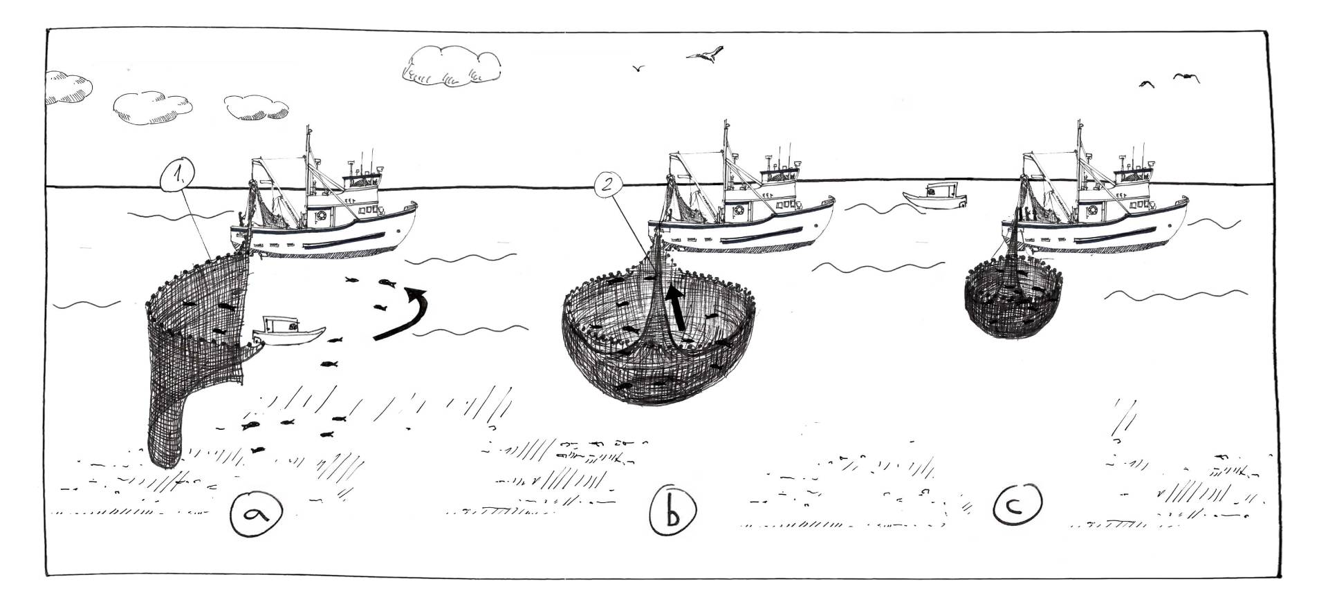 Fangmethode im MSC Fanggerätekatalog - Ringwade