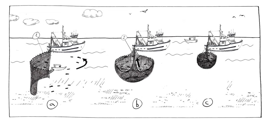 Ringwade Fangmethode im MSC Fanggerätekatalog - Ringwade