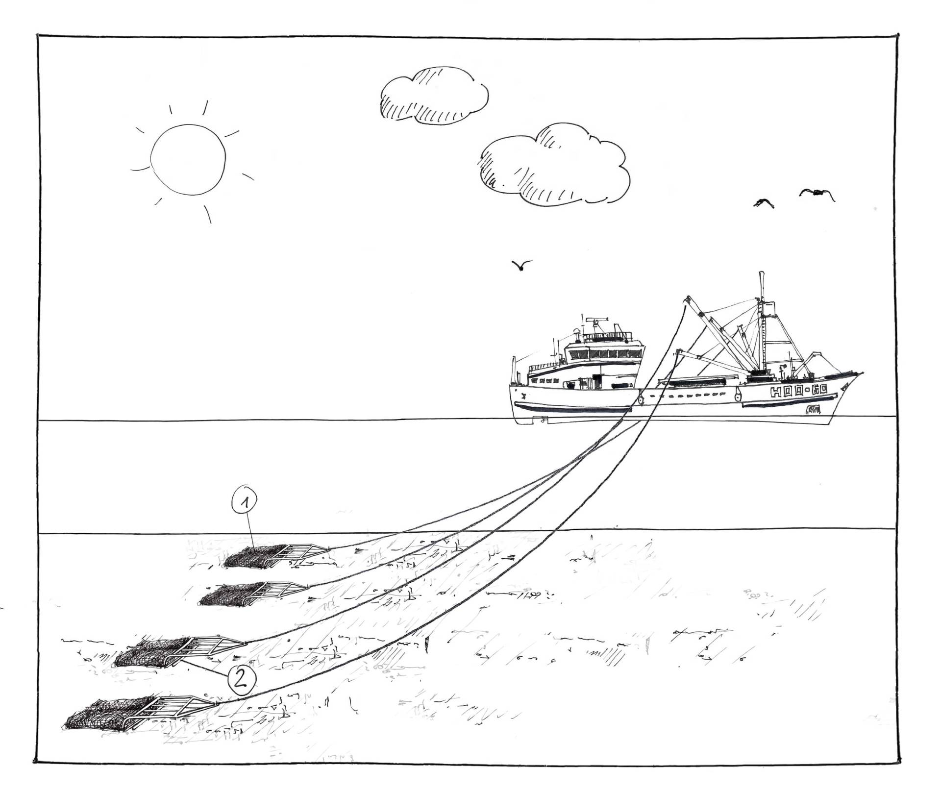 Fangmethode im MSC Fanggerätekatalog - Muschel-Dredge