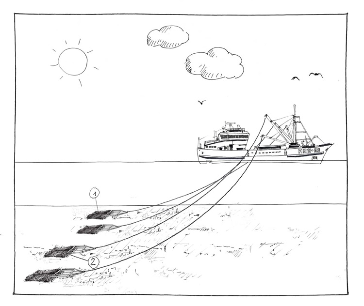 Muschel-Dredge Fangmethode im MSC Fanggerätekatalog - Muschel-Dredge