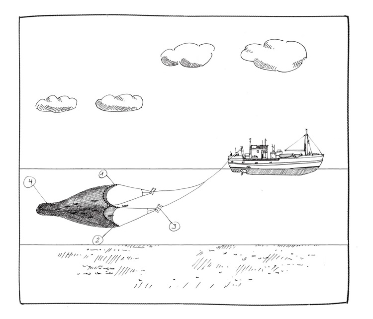 Pelagisches Schleppnetz Fangmethode im MSC Fanggerätekatalog - Pelagisches Schleppnetz