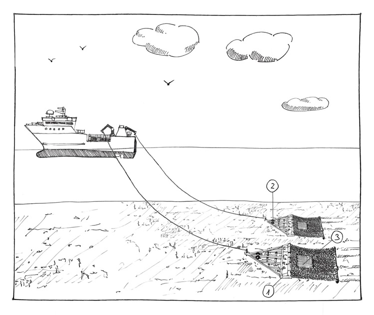 New Bedford Dredge Fangmethode im MSC Fanggerätekatalog - New Bedford Dredge