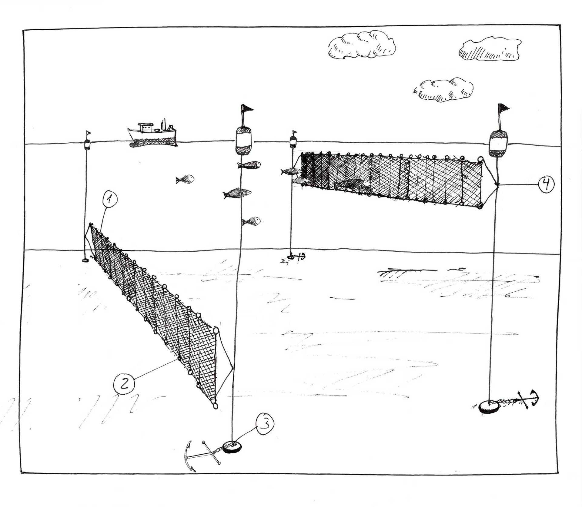 Fangmethode im MSC Fanggerätekatalog - Stellnetz