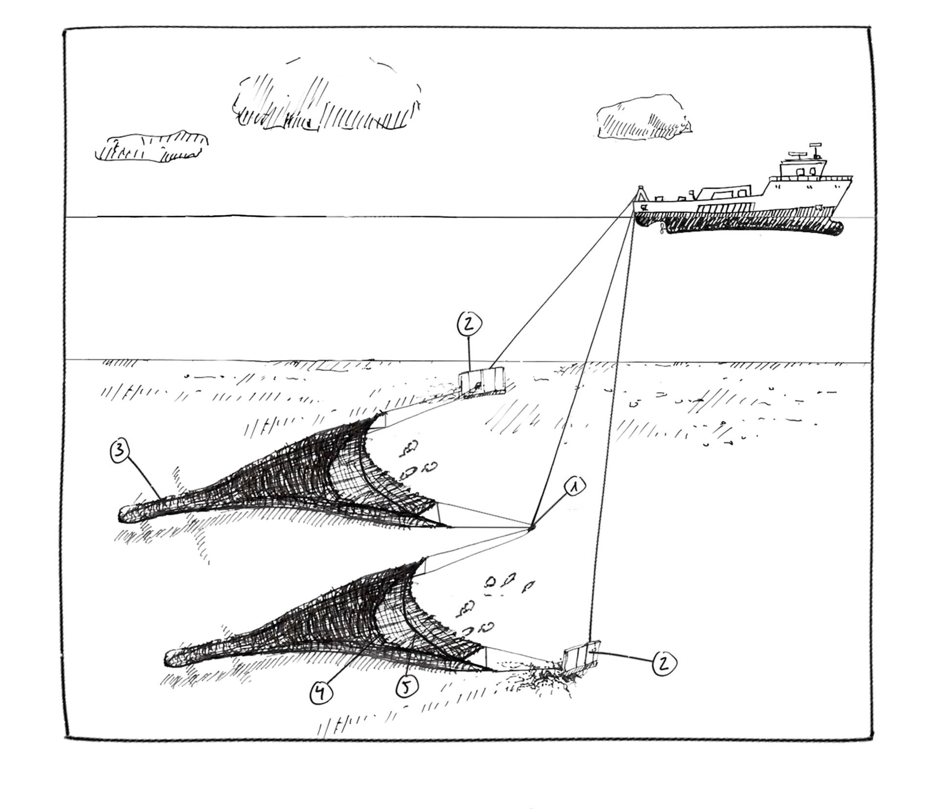 Fangmethode im MSC Fanggerätekatalog - Twin Rig