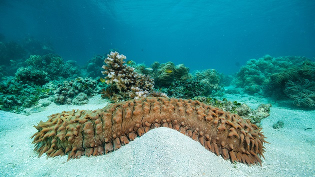 Qualitätsgeprüfte Unterrichtsmaterialien