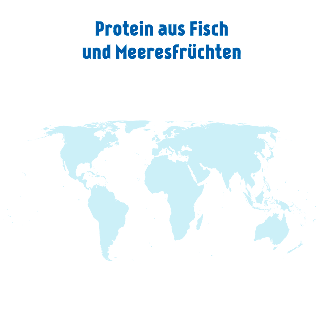 msc-protein-aus-fisch-2024-1080px