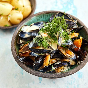 Nordische Miesmuscheln in sahnesauce