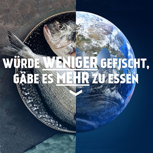 MSC kämpft gegen Überfischung