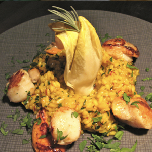 Jakobsmuscheln mit Risotto und geschmortem Chicorée
