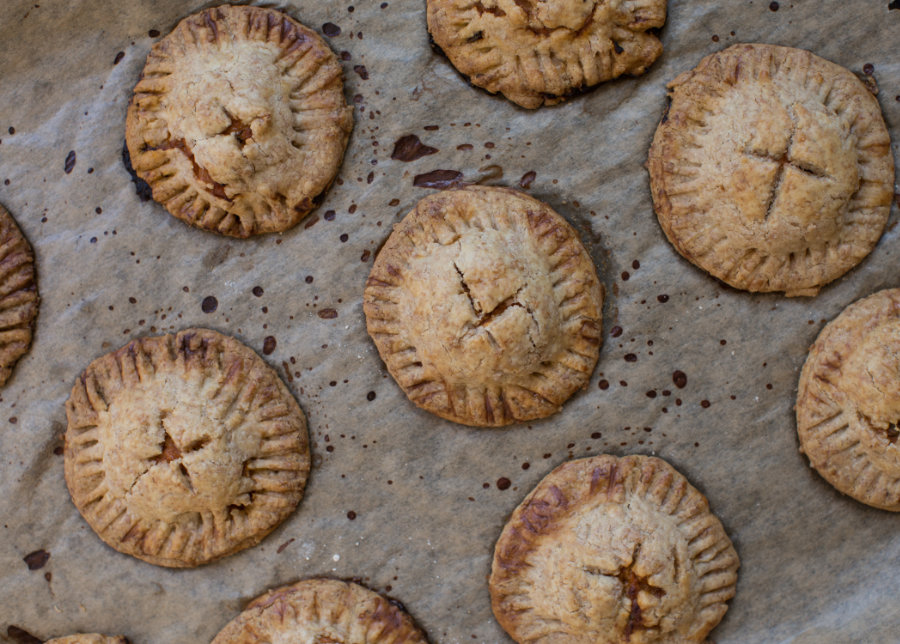 Thuna-Pies_MSC (4 von 14)_