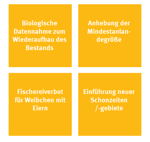 rs3720_german_big_data_bigger_lobster_03-500x476