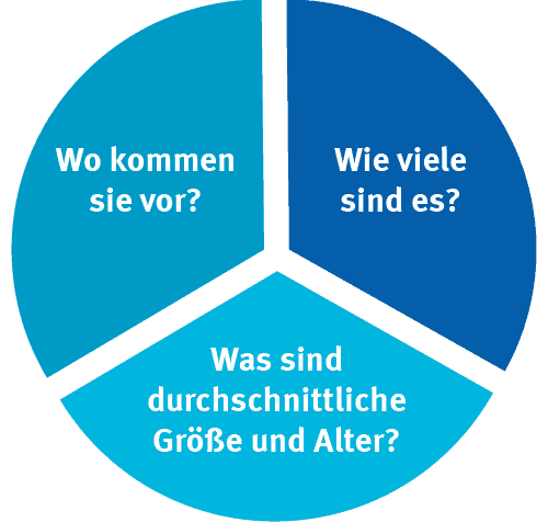 rs3720_german_big_data_bigger_lobster_04