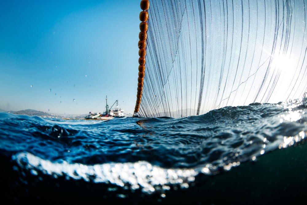 Netting & Marine Theme Sea Ocean Products
