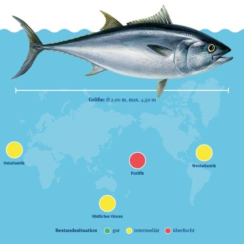 Story Slides, GIFs & Grafiken