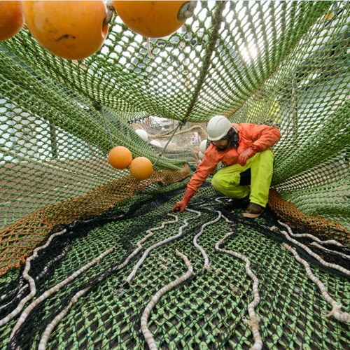 Fragen und Antworten zu: Beifang