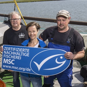 Was macht der MSC?