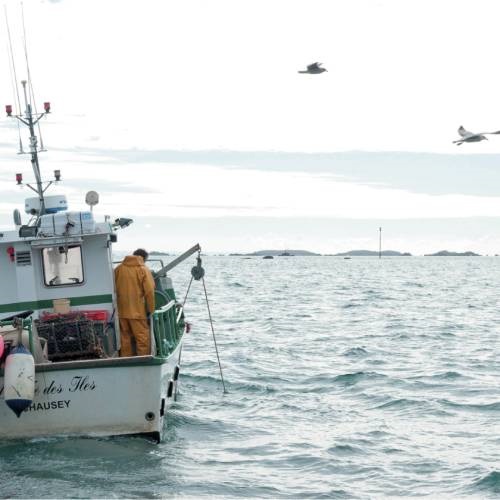 MSC-zertifizierte Fischereien