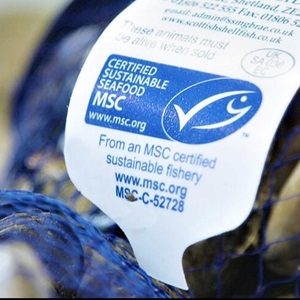 Declaración MSC
