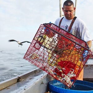 Was ist nachhaltiger Fischfang?