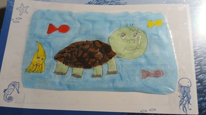Zeichnung einer Schildkröte im Rahmen des MSC Malwettbewerbs zum Tag des Meeres 2025