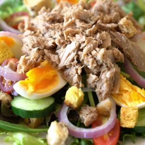 Thunfisch schützen - MSC Thunfischbericht