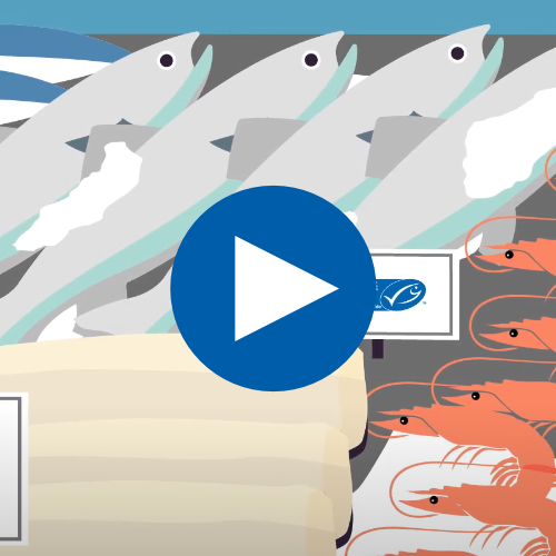 Schulungsvideo für Fischtheken