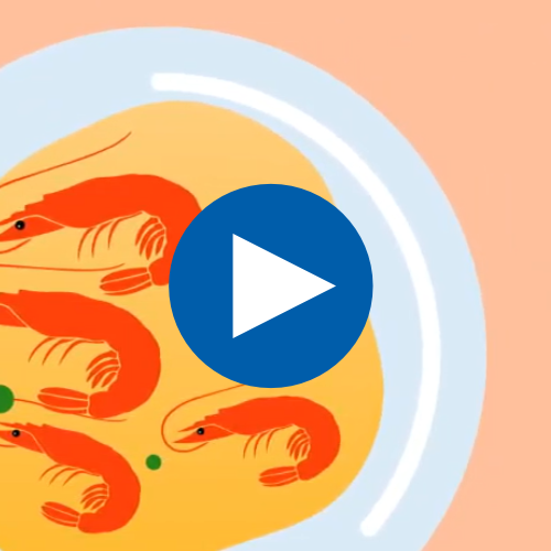 Schulungsvideo für die Gastronomie