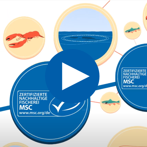 Was bedeutet Rückverfolgbarkeit?