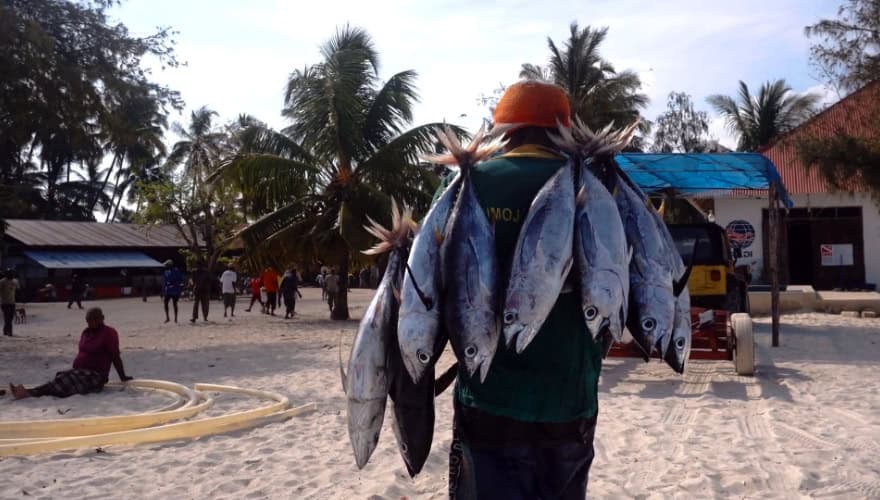 videoblocks-black-african-man-is-carrying-tuna-fishes-on-the-street-fish-market-in-nungwi-village-in-s-morning-after-fishing_szlnxgthp_1080__d