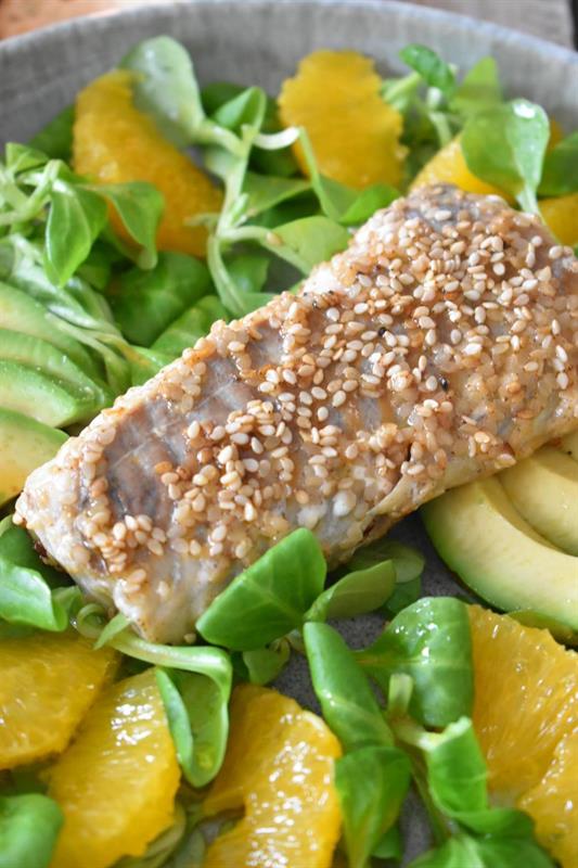 Sesamlachs_1 Sesamlachs_1