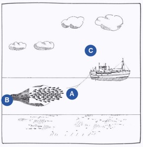 Zertifizierungseinheit